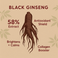 SeoulGlow™ - Serum : Retinal Liposome 2% + Black Ginseng